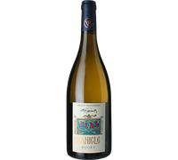Manicle Blanc 2025 - Domaine Monin