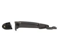 Manija Atrás izquierda 6010-05-021403P BLIC para BMW X5 X6 3 Touring 3