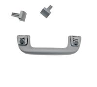 Manija de Puerta Interior del Maletero Trasero Accesorios del automóvil compatibles con Toyota Land Cruiser Prado 120 2003-2009 Compatible con Lexus GX470 2003-2009 (Color : Grey Set)