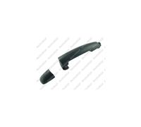 PRASCO Türgriff SZ0568043