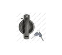MANIJA DE PUERTA LM192Q 735309960WK