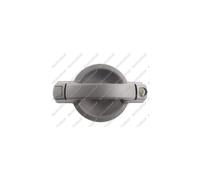 MANIJA DE PUERTA LM193Q 735296050