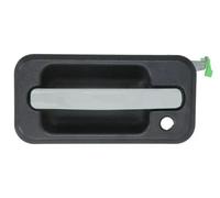 Manilla de puerta BLIC 6010-88-2418401P