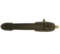 Manecilla exterior de la puerta BLIC 6010-07-017401P para BRAVA (182_) 1.2 1998-