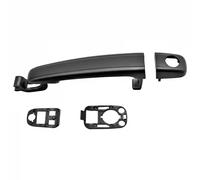ELECTRIC LIFE ZR8081003 Manecilla de puerta