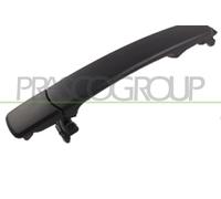 Manija Externa De Puerta DS8328113 PRASCO Para NISSAN
