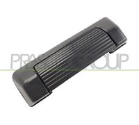 Manija Externa De Puerta SZ0488301 PRASCO Para SUZUKI