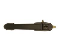 Manecilla exterior de la puerta BLIC 6010-07-017401P para BRAVA (182_) 1.2 1998-