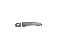 Manilla Puerta LM895Q