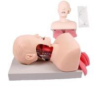 Maniquí Avanzado De Intubación for Adultos, Modelo Electrónico De Entrenamiento De Intubación Traqueal Humana Con Tubo Endotraqueal, Entrenador De Manejo De Vías Respiratorias De Intubación Nasal Oral