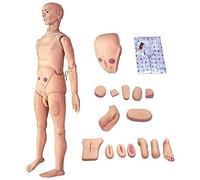 Maniquí De Atención Al Paciente, Maniquí De Tamaño Natural, Simulador De Atención Al Paciente Multifuncional Maniquí De Enfermería Masculino Y Femenino Modelo Anatómico Humano