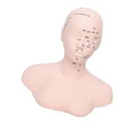 Maniquí De Calavera PVC Para Entrenamiento Masaje Cosmético Modelo Cabeza Práctica Y Entrenamiento Peluquería Maniquí Masaje Facial Escuela Belleza Fácil Limpiar