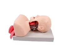 Maniquí de intubación, entrenador de gestión de vías respiratorias con dispositivo de alarma para entrenamiento de habilidades educativas
