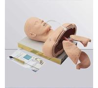 Maniquí de intubación nasal oral avanzado, entrenador de gestión de vías respiratorias, con dispositivo de alarma dental, simulador de cabeza de intubación para entrenador de gestión de vías respirato