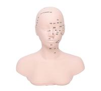 Maniquí De Práctica De Anatomía Facial No Deformable Para Desarrollo De Habilidades De Masaje Repetido Cabeza De Práctica De Masaje Facial