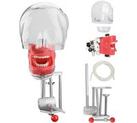 Maniquí de simulador de entrenamiento dental profesional, la enseñanza de la boca modelo de la cabeza fija en la silla reemplazable Typodont modelo de diente, para las escuelas dentales Educación