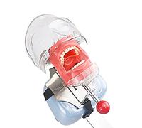Maniquí de simulador dental Cabeza fantasma para entrenamiento de práctica Estudiar modelos Typodont con diente extraíble (diadema)