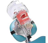 Maniquí dental simulador: cabeza fantasma de plástico con dientes dentales para fines educativos, con soporte de mesa para su fijación en el aula(Dental Chair Type)