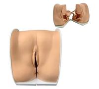 Maniquí Ginecológico Femenino, Modelo De Anatomía Genital Femenina, Modelo De Guía De Anticoncepción Femenina De Tamaño Natural Y Maniquí Con Anatomía Precisa, Adecuado for Enseñanza Y Operación Práct