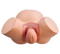 Maniquí obstétrico de Anatomía | Modelo de entrenamiento de parto y alumbramiento | Simulador de atención al paciente para estudiantes de medicina | Modelo de formación en enfermería obstétrica | Mo