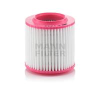 MANN-FILTER C 1343 Filtro de aire para AUDI A8 (4E2, 4E8)