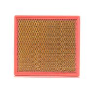 MANN-FILTER C 24 100 Filtro de aire - para Automóviles + Vehículos de transporte