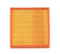 MANN-FILTER Filtro de aire (de coche) para BMW: SÃ©rie 3, Z3 (Ref: C 2493)