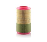 Filtros y aceite > Filtro > Filtro de aire (de coche)