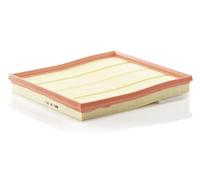 MANN-FILTER Filtro de aire (de coche) para BMW: X6, SÃ©rie 5, SÃ©rie 6, SÃ©rie 7, X4, X3, X5 (Ref: C 28 125/1)