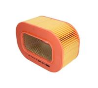 MANN-FILTER C 29 200 Filtro de aire