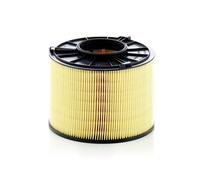 Mann-Filter C17012/1 Filtro de Aire para Audi A4 8W2 8WC 8W5 8WD A5 F53 F5P