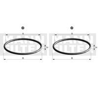 MANN-FILTER Di 007-00 Junta - Para Automóviles (Paquete de 2)