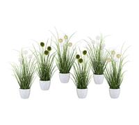 Manojo de hierba con bardanas, en maceta, UE 6 unid.