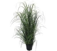 Manojo de hierba en maceta de plástico negro