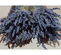 Manojos De Lavanda Seca Griega Orgánica 1-22 Manojos 30-32cm Clase A (2 Manojos + 200g Brotes)