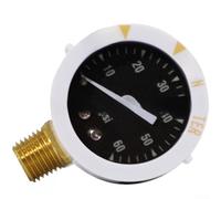 Manómetro 60 PSI 1/4 NPT Rosca Caja de Acero Inoxidable para Filtro de Piscina Sistemas Neumáticos Hidráulicos Blanco para DIAL 48mm (Lado)