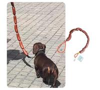 MANON ROSA Correa divertida para perro salchicha, correa ergonómica y duradera para perros pequeños y medianos, cachorros, gatos, gatitos, perfecta para corgis y perros salchicha, accesorio divertido