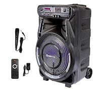 MANTA Altavoz Bluetooth Karaoke SPK5033 - Amplificador Digital, Efectos de luz LED RGB Discoteca, Bluetooth 5.0, Ecualizador, TWS, grabación, Radio FM, Karaoke - 36 x 29.2 x 54.2