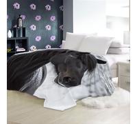 Manta Caballo Negro majestuoso con Estampado Animal Manta de Felpa para sofá, Manta de vellón Negro Decoración del hogar, Mantas de otoño e Invierno, Ropa de Cama para niños 180 X 200