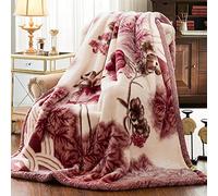 Manta De Cama Colcha Boutí Raschel Súper Suave Acogedor De Doble Capa Cálido Engrosado Edredón Multifunción De Vellón De Coral Sábanas Doble Individual Cubrecamas,Purple-200x230cm(4.5kg)