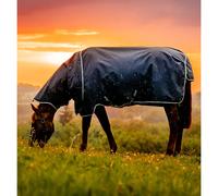 Manta de exterior para ponis Horseware Amigo Ripstop 900D Plus 100g 125 cm