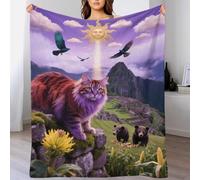 Manta De Felpa Persa, Manta para Sofá con Diseño De Persa Atigrado Oso Pardo Suavidad Superior Regalo para Niños, Adultos 50x60inch(127x152cm)
