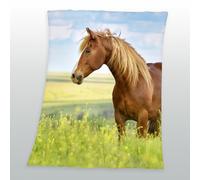 Manta De Forro Para Caballos Con Caballo 130 X 160 Cm