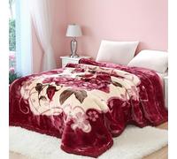 Manta de Forro Polar, Manta Pesada de visón Coreano Invierno Grosor, Mantas de Felpa de Doble Capa Ultra Suave con Peso para Cama(Color08,180x220cm 3kg)