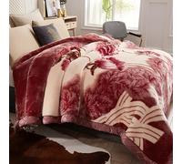 Manta de Forro Polar, Manta Pesada de visón Coreano Invierno Grosor, Mantas de Felpa de Doble Capa Ultra Suave con Peso para Cama(Color10,150x200cm 2kg)