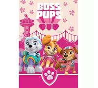 Manta de forro polar Paw Patrol 100 x 150 cm | Suave y acogedora manta 100% poliéster para niños | Manta de dibujos animados ligera y cálida para sofá, cama y viajes | Diseño oficial de Paw Patrol