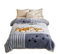 Manta de forro polar Raschel para el hogar, manta de sofá de doble grosor, agradable a la piel, manta grande y mullida para sofá, manta con peso, manta de invierno (estilo-12,200 x 230 cm, 4 kg)