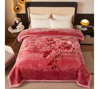 Manta de piel sintética, Manta de felpa vellón invierno pesada tamaño Queen, manta visón coreano 6. lb, suave y cálida, 71 x 87 pulgadas(Style07,200x230cm)