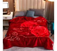 Manta de piel sintética, Manta de felpa vellón invierno pesada tamaño Queen, manta visón coreano 6. lb, suave y cálida, 71 x 87 pulgadas(Style08,180x220cm)