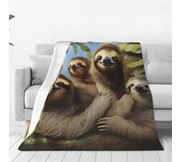 Manta familiar de perezosos ultrasuave, manta de microforro polar de lujo para todas las estaciones, manta ligera de aire acondicionado, para ropa de cama, sofá, viajes, 40 x 30 pulgadas